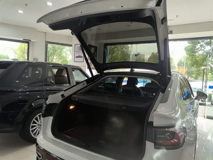 Volkswagen Tiguan X 2021 2021款 330TSI 两驱旗舰版