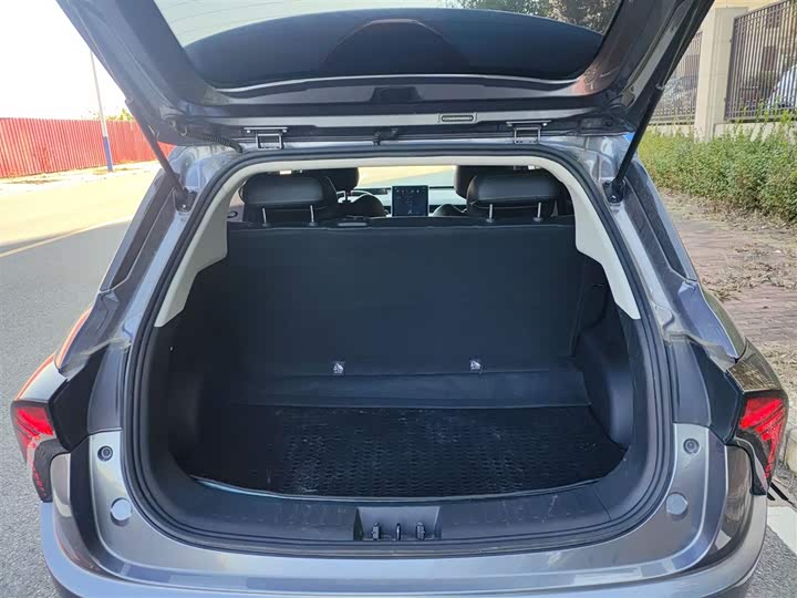 Hozon V 2022 2022款 潮 300 Lite 三元锂