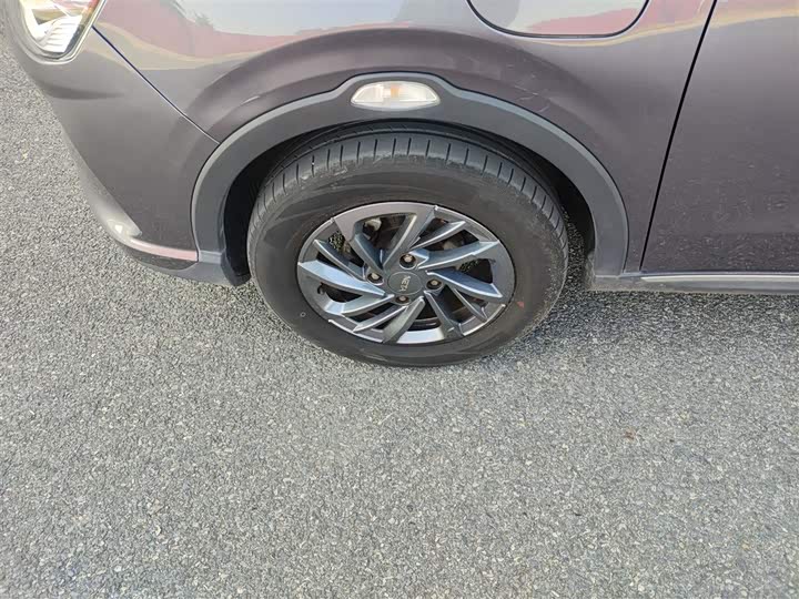 Hozon V 2022 2022款 潮 300 Lite 三元锂