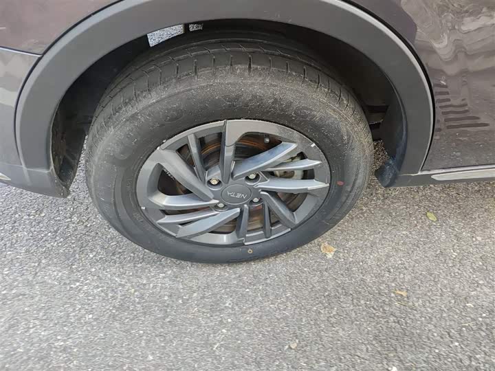 Hozon V 2022 2022款 潮 300 Lite 三元锂