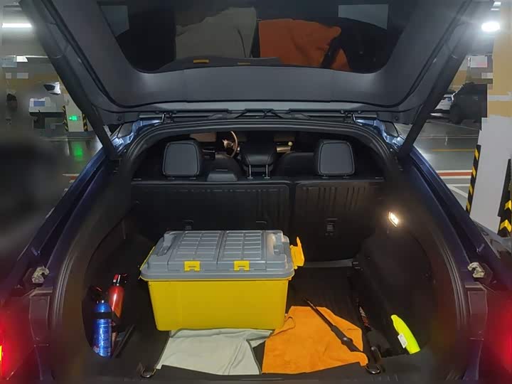 Ford Mustang Mach-E 2021 2021款 GT