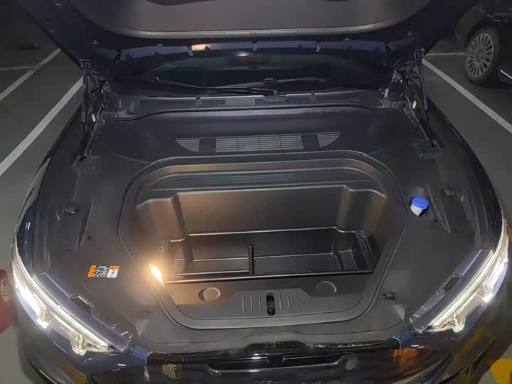 Ford Mustang Mach-E 2021 2021款 GT