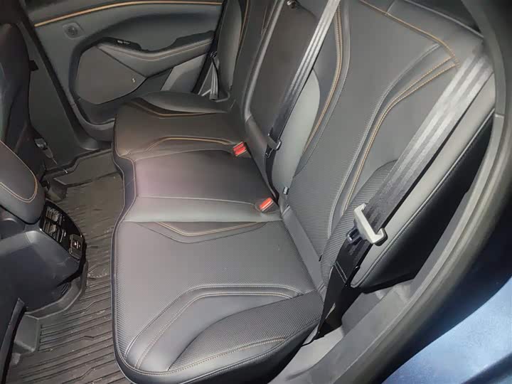 Ford Mustang Mach-E 2021 2021款 GT