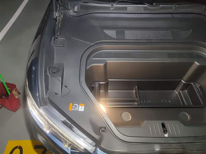 Ford Mustang Mach-E 2021 2021款 GT