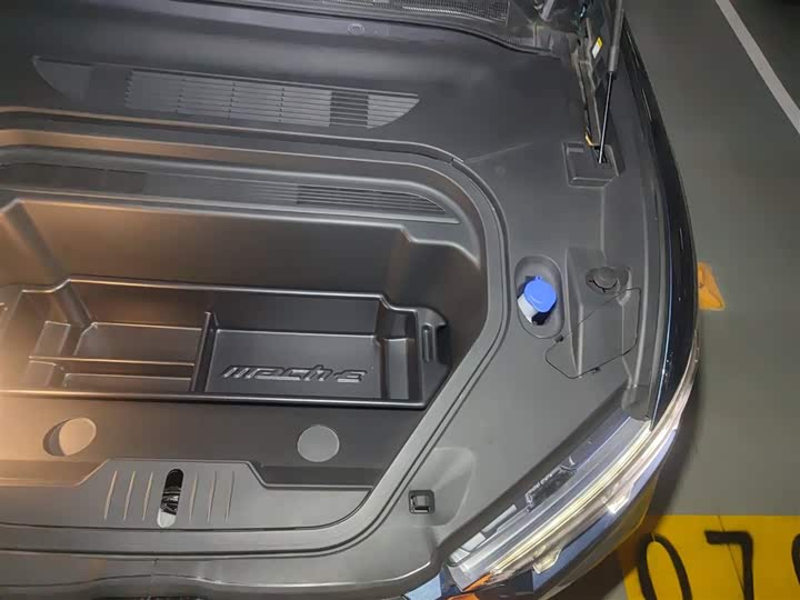 Ford Mustang Mach-E 2021 2021款 GT