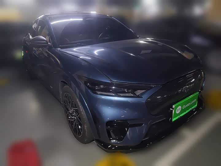Ford Mustang Mach-E 2021 2021款 GT