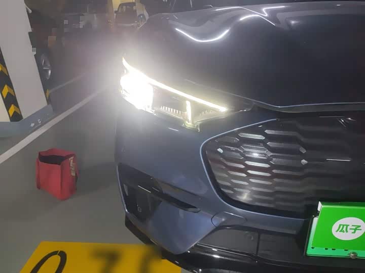 Ford Mustang Mach-E 2021 2021款 GT