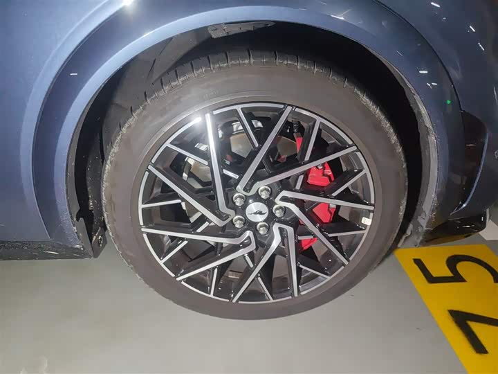 Ford Mustang Mach-E 2021 2021款 GT