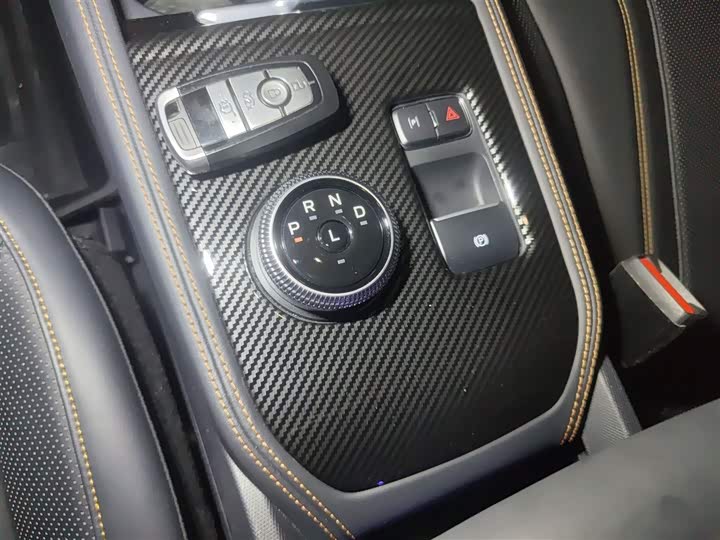 Ford Mustang Mach-E 2021 2021款 GT