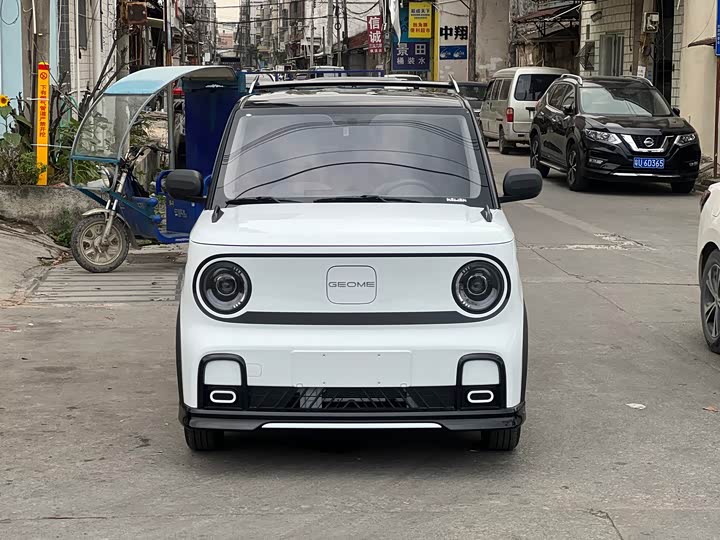 Geely Galaxy Panda Mini 2025 2025款 210km 熊猫卡丁