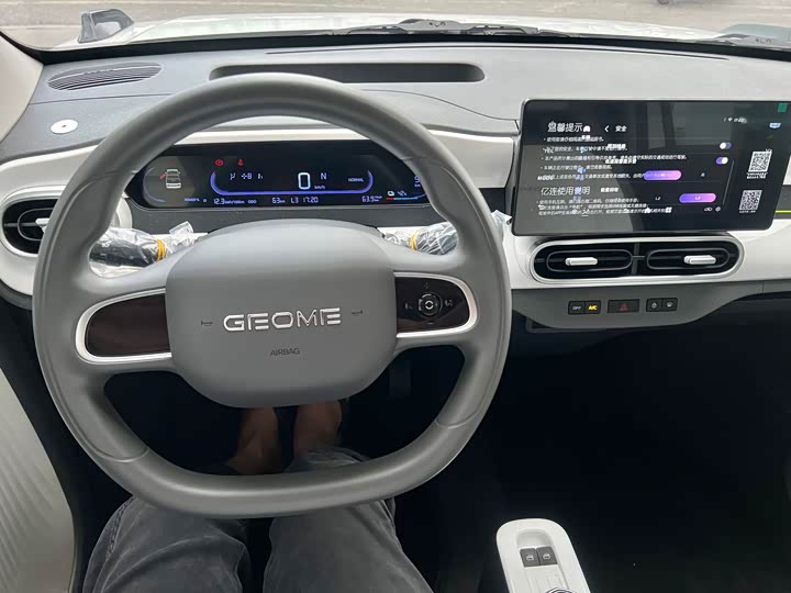 Geely Galaxy Panda Mini 2025 2025款 210km 熊猫卡丁