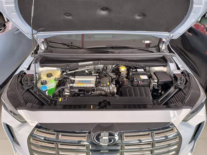 GAC Trumpchi GS4 2024 2024款 MAX 1.5T 旗舰版