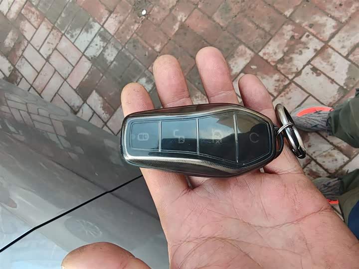 BYD Destroyer 05 2024 2024款 荣耀版 DM-i 55KM 豪华型