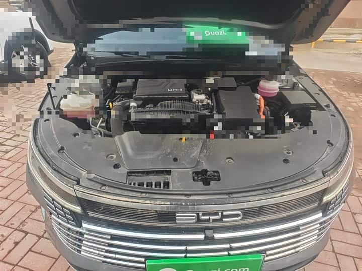 BYD Destroyer 05 2024 2024款 荣耀版 DM-i 55KM 豪华型