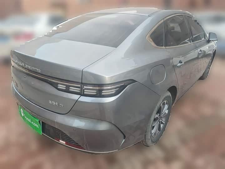 BYD Destroyer 05 2024 2024款 荣耀版 DM-i 55KM 豪华型