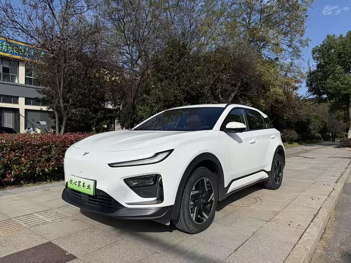 Hozon X 2024 2024款 500 尊享版