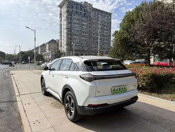 Hozon X 2024 2024款 500 尊享版