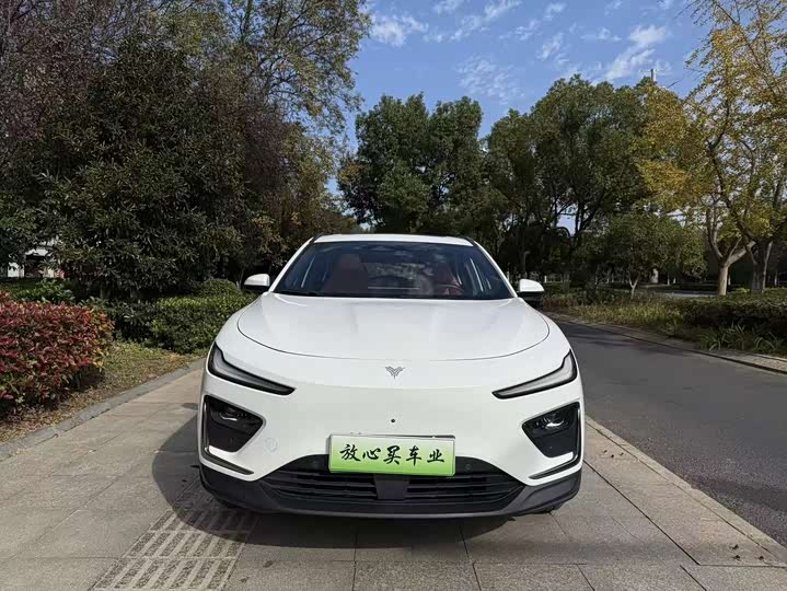 Hozon X 2024 2024款 500 尊享版