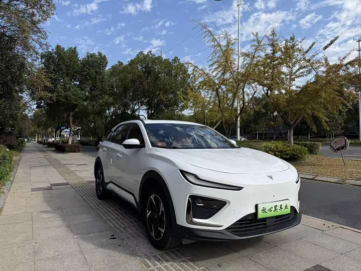 Hozon X 2024 2024款 500 尊享版