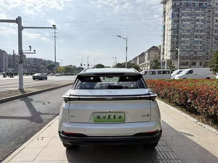 Hozon X 2024 2024款 500 尊享版