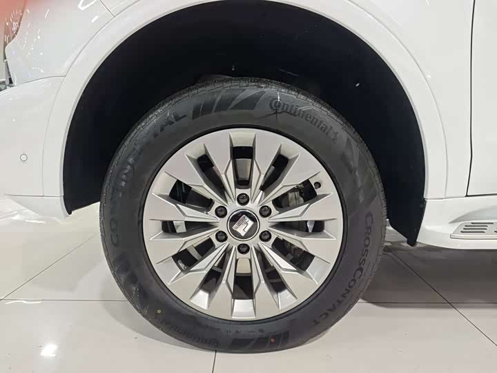 Tank 500 Hybrid 2025 2025款 Hi4-Z