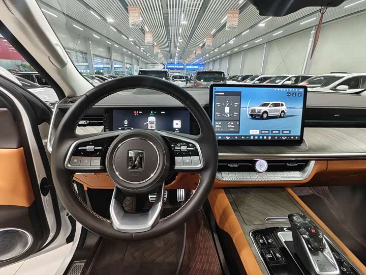 Tank 500 Hybrid 2025 2025款 Hi4-Z