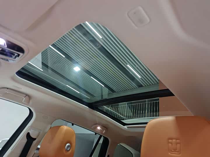 Tank 500 Hybrid 2025 2025款 Hi4-Z