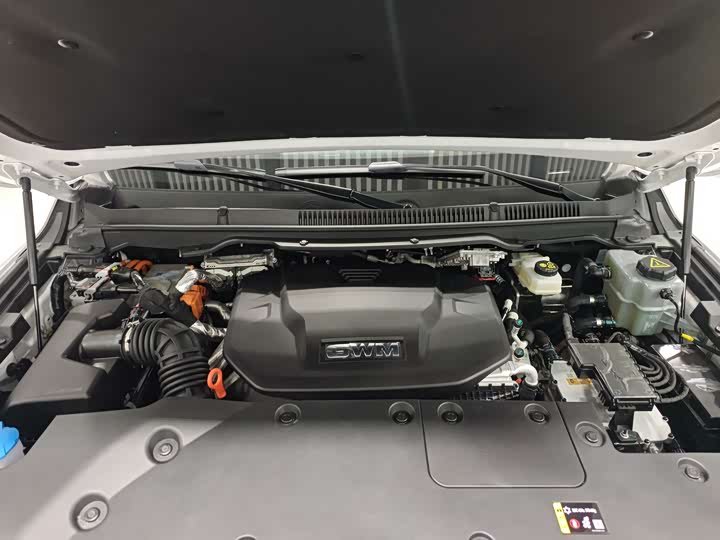 Tank 500 Hybrid 2025 2025款 Hi4-Z