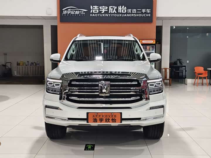 Tank 500 Hybrid 2025 2025款 Hi4-Z