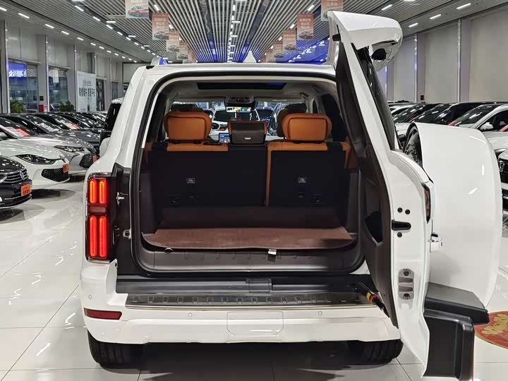 Tank 500 Hybrid 2025 2025款 Hi4-Z