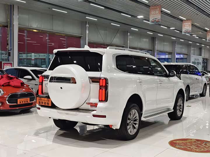 Tank 500 Hybrid 2025 2025款 Hi4-Z