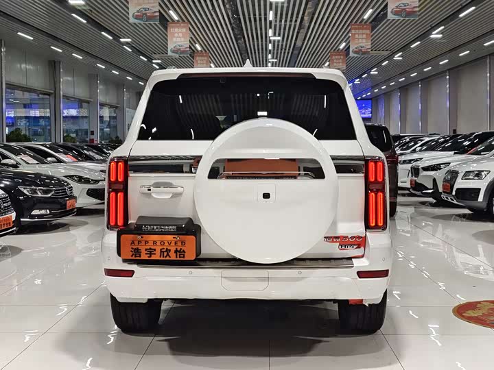 Tank 500 Hybrid 2025 2025款 Hi4-Z