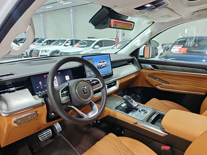 Tank 500 Hybrid 2025 2025款 Hi4-Z