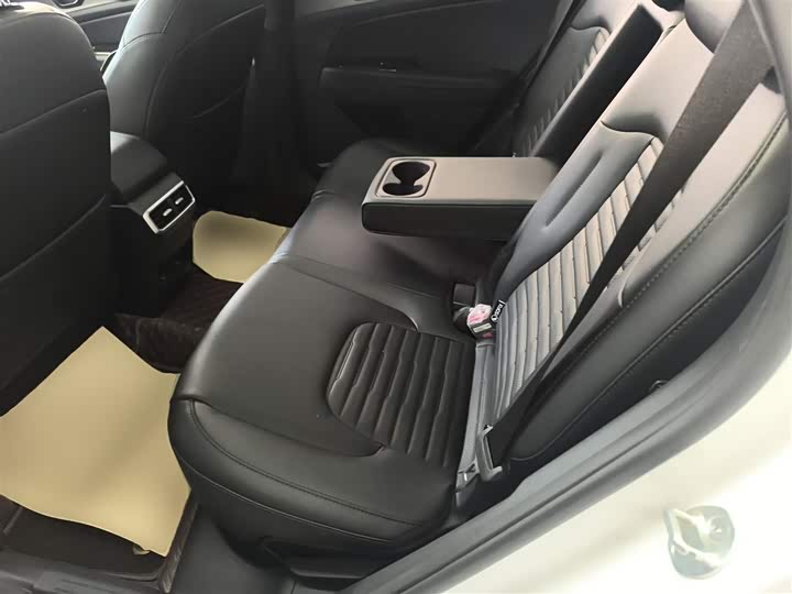 Kia Sportage 2023 2023款 2.0T 两驱尊贵版