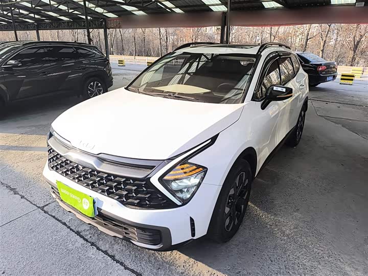 Kia Sportage 2023 2023款 2.0T 两驱尊贵版