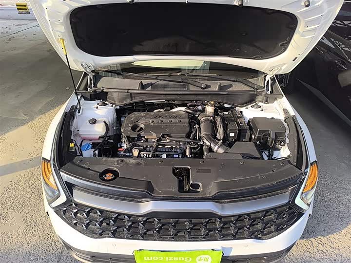 Kia Sportage 2023 2023款 2.0T 两驱尊贵版