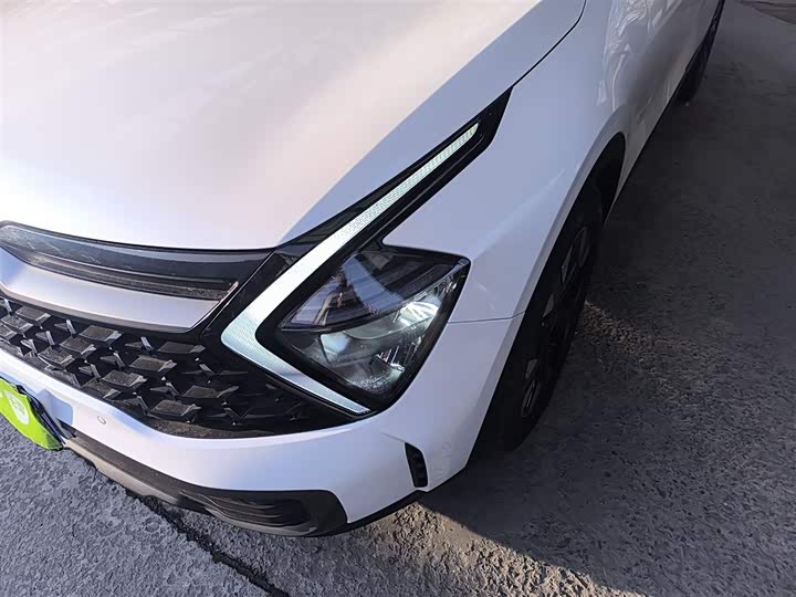 Kia Sportage 2023 2023款 2.0T 两驱尊贵版