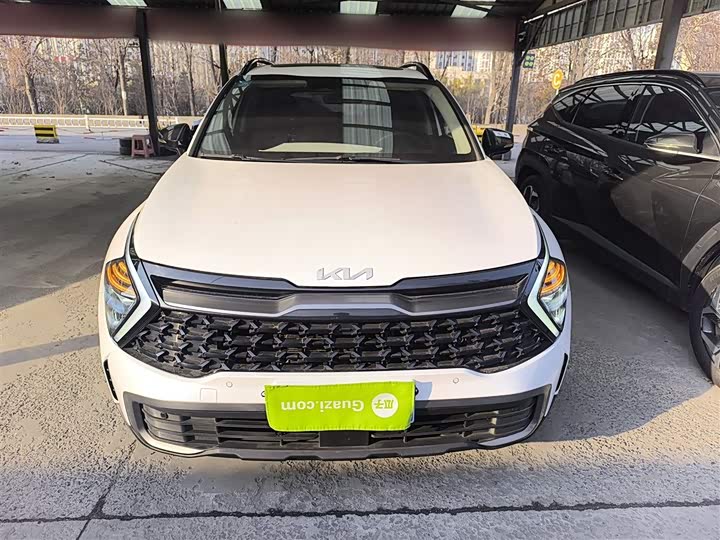 Kia Sportage 2023 2023款 2.0T 两驱尊贵版