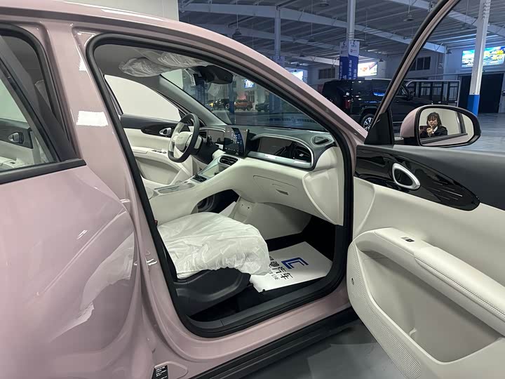 Geely Galaxy Geome 2026 2026款 310km 青春版