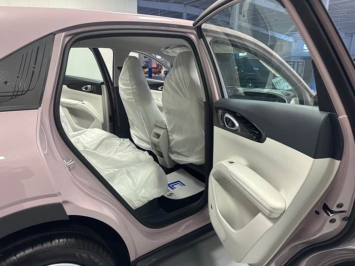 Geely Galaxy Geome 2026 2026款 310km 青春版