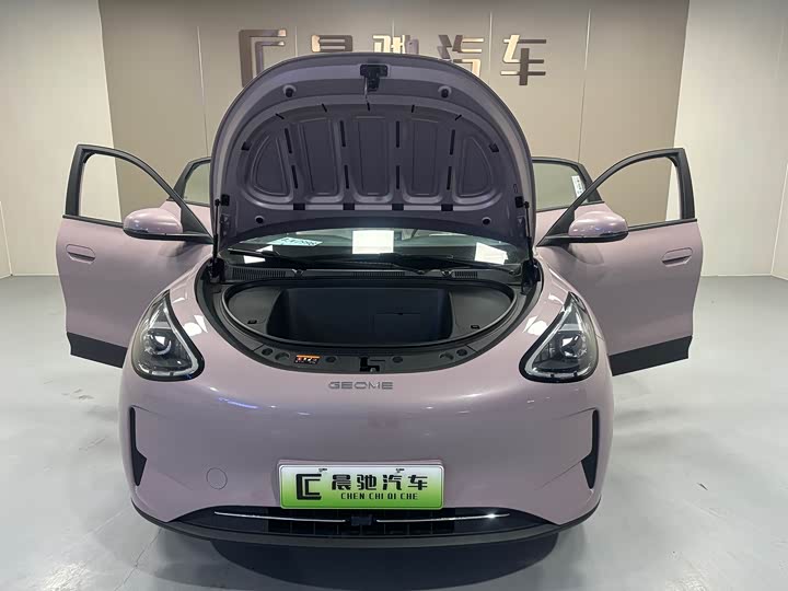 Geely Galaxy Geome 2026 2026款 310km 青春版