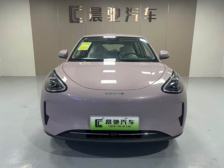 Geely Galaxy Geome 2026 2026款 310km 青春版