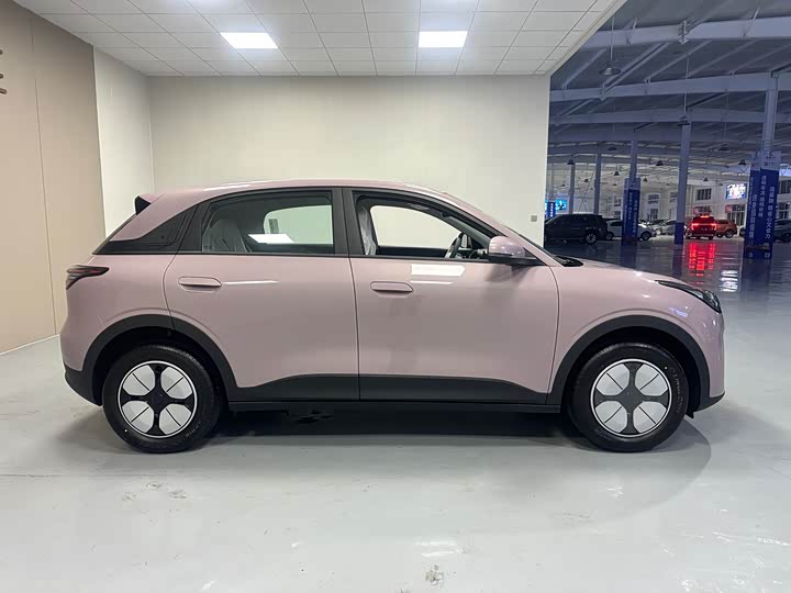 Geely Galaxy Geome 2026 2026款 310km 青春版