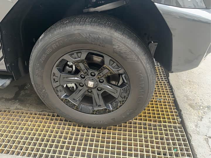 Tank 400 Hybrid 2024 2024款 Hi4-T 城市版