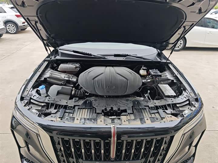 Hongqi H9 2024 2024款 2.0T 旗畅 私享风尚版