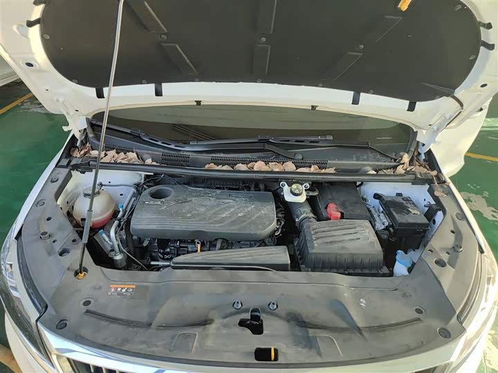 Geely Jiaji 2022 2022款 1.8TD DCT白金豪华型