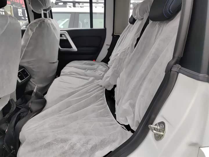 BAIC Beijing BJ40 2023 2023款 2.0D 自动四驱刀锋英雄版侠客型（前后电控锁）