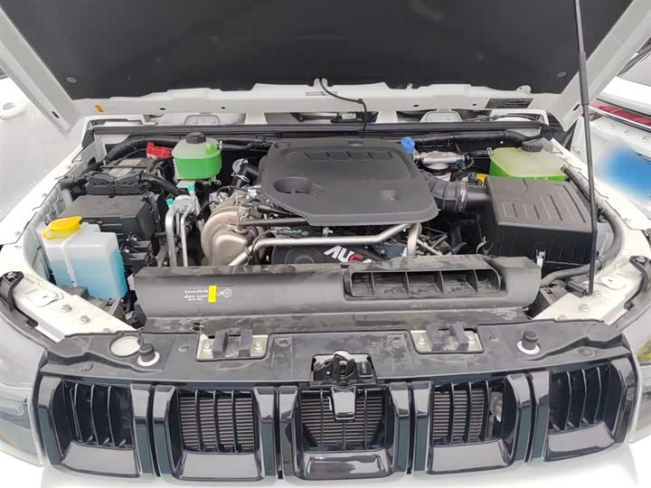 BAIC Beijing BJ40 2023 2023款 2.0D 自动四驱刀锋英雄版侠客型（前后电控锁）