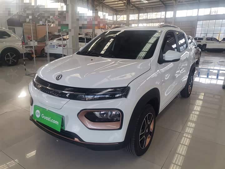 Dongfeng Nammi Nano EX1 Pro 2023 2023款 PRO 轻风版闪电型