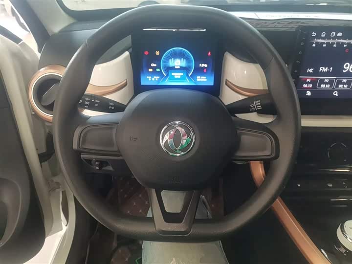 Dongfeng Nammi Nano EX1 Pro 2023 2023款 PRO 轻风版闪电型
